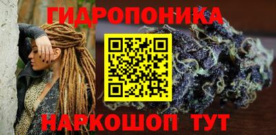 дмт Тверь