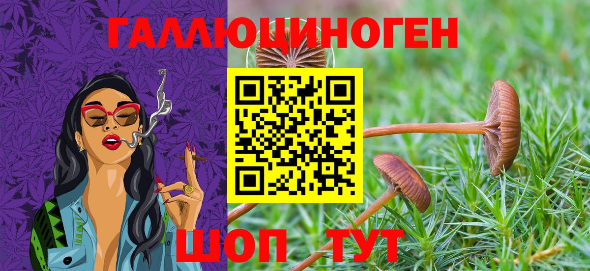 Нягань  Псилоцибиновые грибы мухоморы  Вход с VPN 
